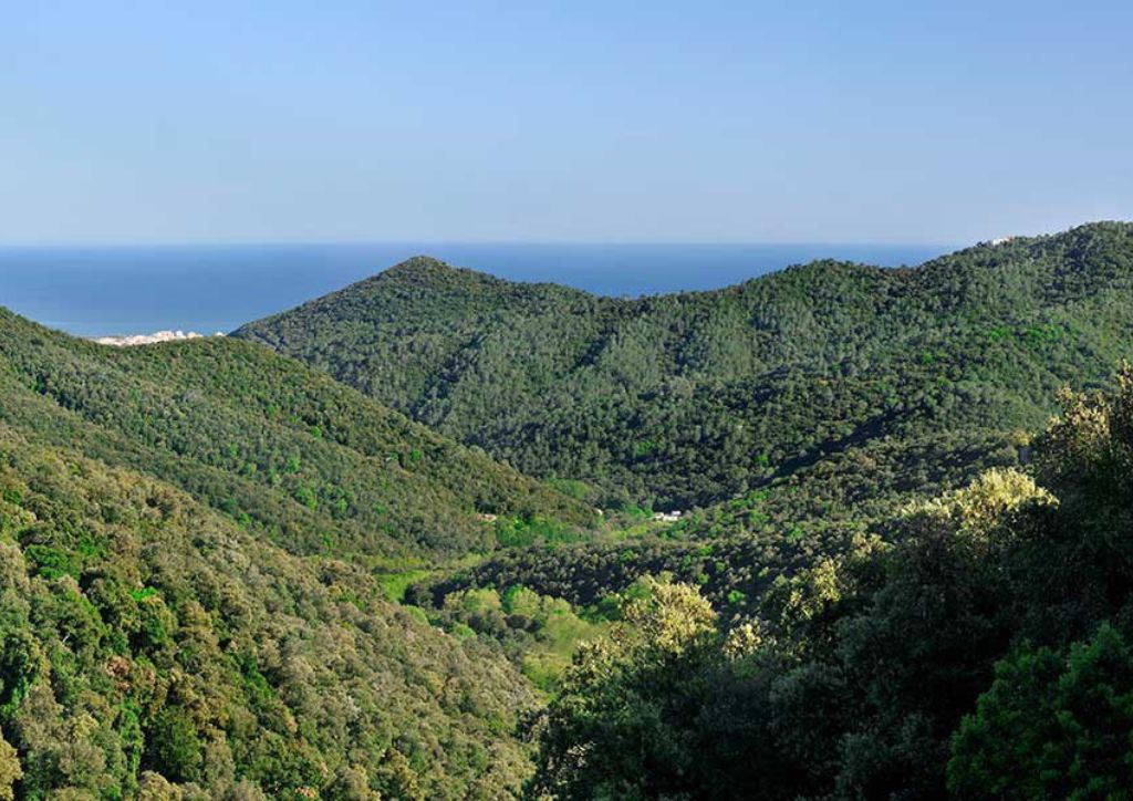 parco naturale del Montnegre i el Corredor in Catalogna