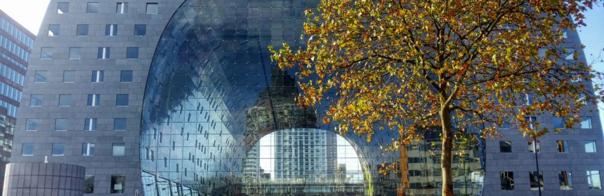 architettura mercato coperto di rotterdam