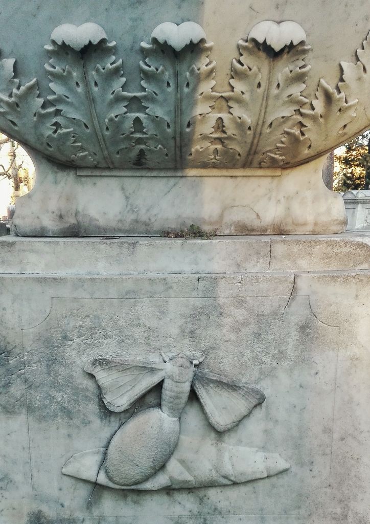 farfalla che esce dal bozzolo, simbolo scolpito su una tomba