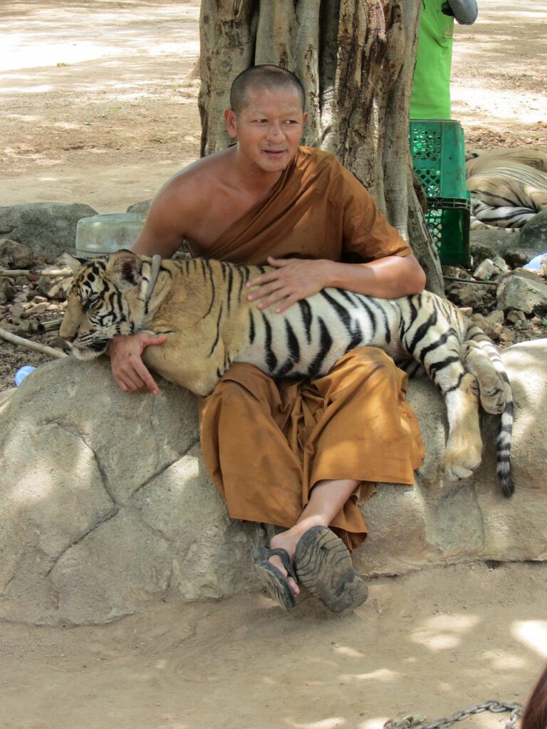 consigli per viaggio in thailandia