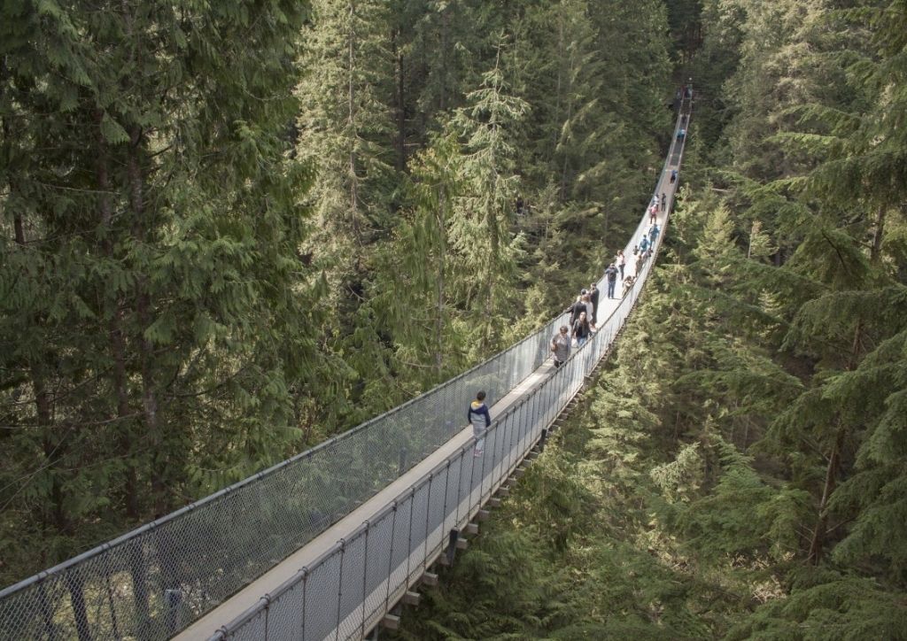 capilano suspended bridge canada