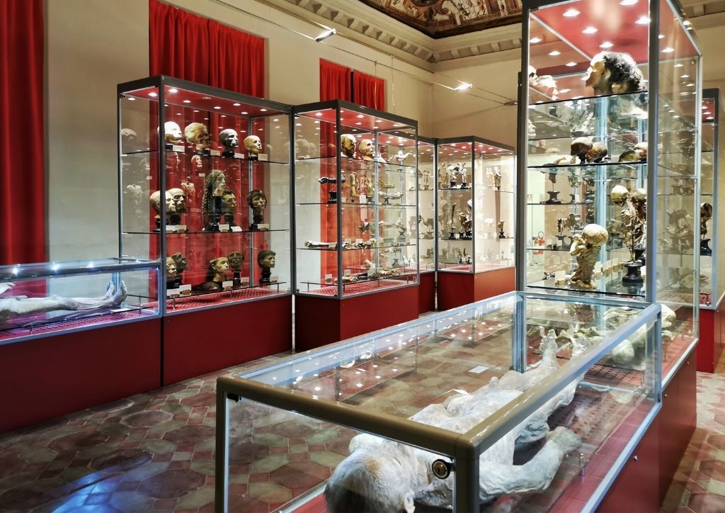 museo paolo gorini lodi