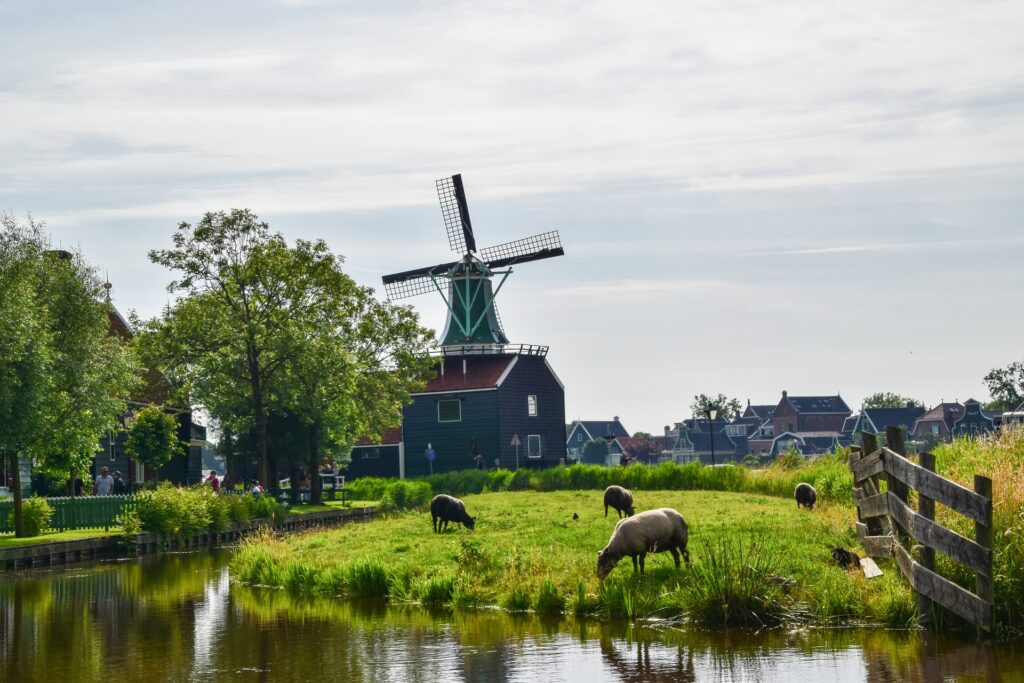 escursione di un giorno da Amsterdam ai mulini a vento di Zaanse Schans