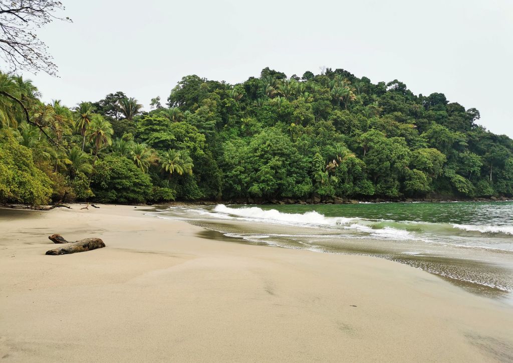 Spiaggia nel Parco Nazionale Manuel Antonio