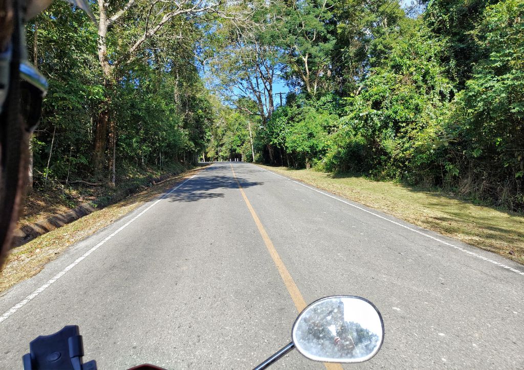 avventura in scooter nella giungla della thailandia
