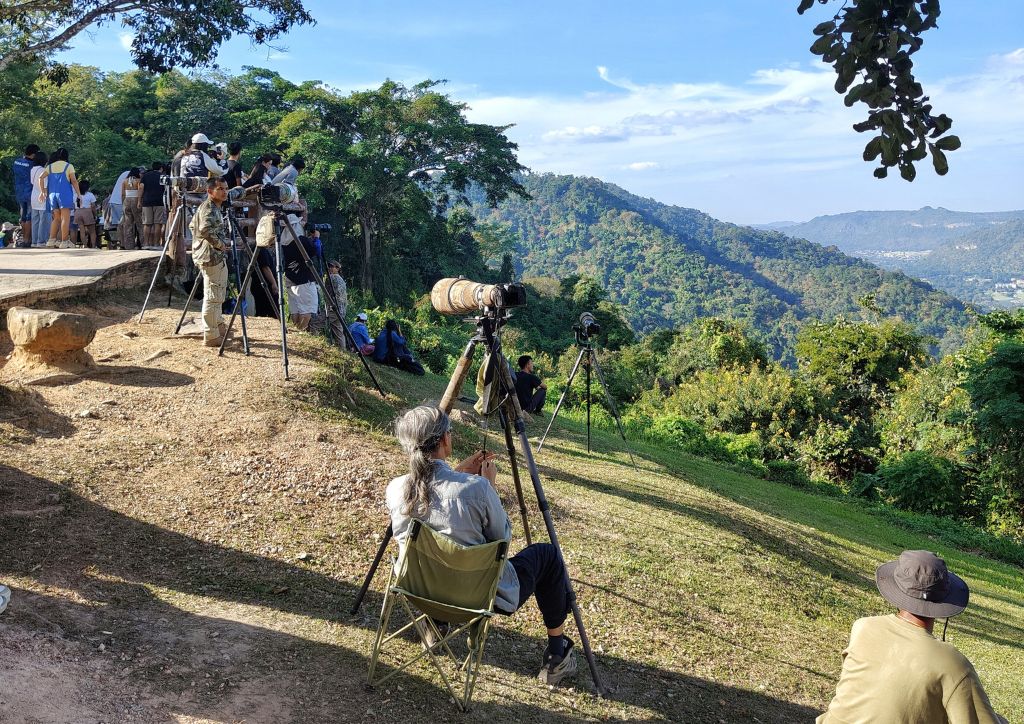 appassionati di birdwatching in Thailandia