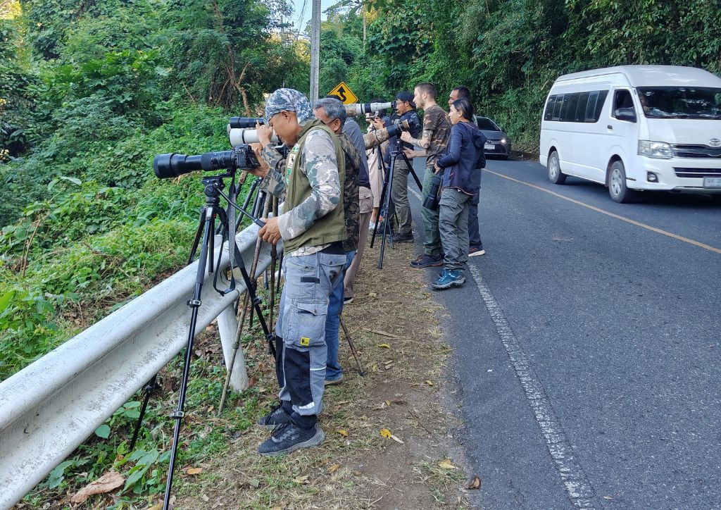 escursione per avvistare la fauna al Khao Yai national park, Thailandia