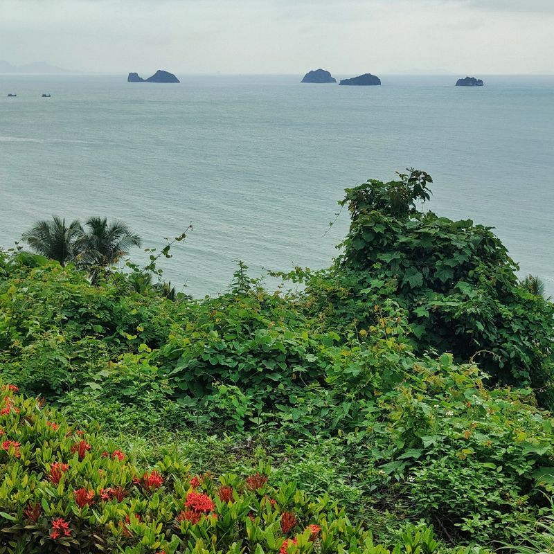 Cosa vedere a Koh Samui in viaggio fai da te