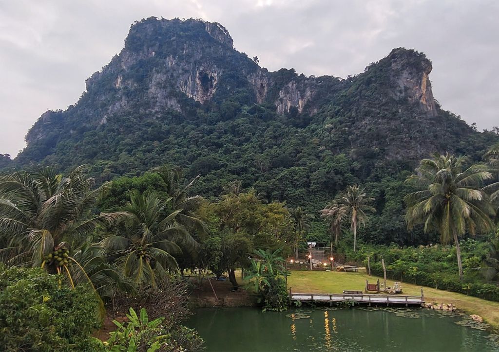 Grotta dei pipistrelli Nayang bat cave, in Thailandia.